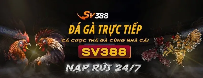 Mọi giao dịch tại nhà cái sv388 đều diễn ra nhanh chóng